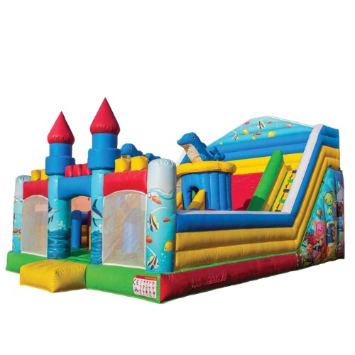 Dolphin Maze and slide - Kidzstations Delphine Slide & Maze